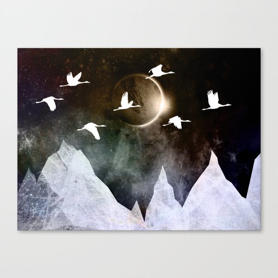 Fly High Canvas Print