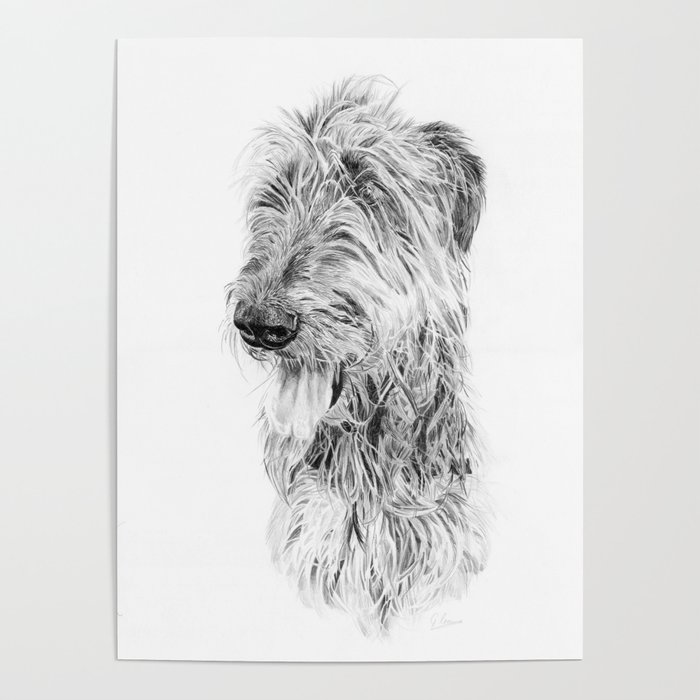 Irish Wolfhound Poster