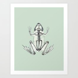 Frog Skeleton: Animal Anatomy Art Print