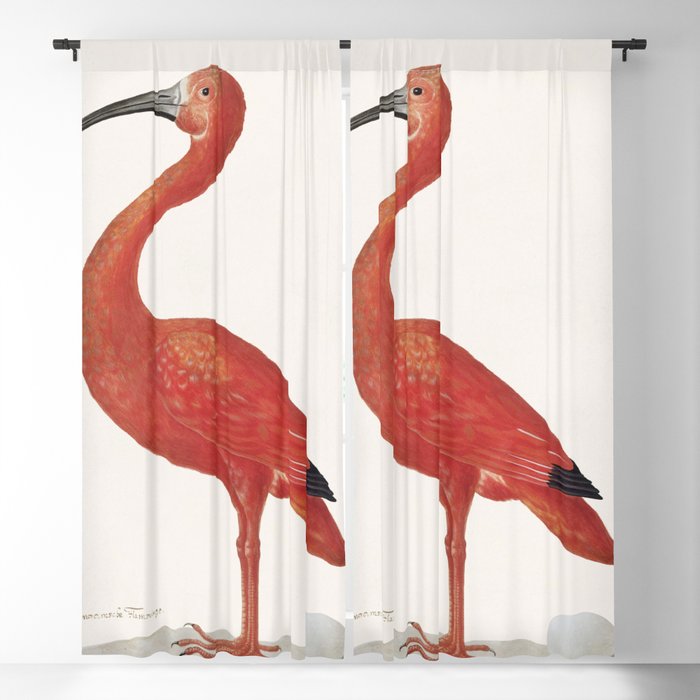 Scarlet Ibis with an Egg Blackout Curtain