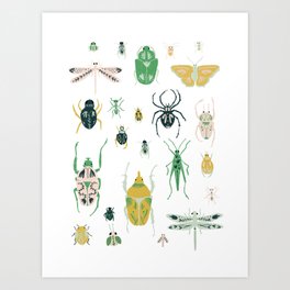 Insect Collection  Art Print