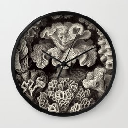 Ernst Haeckel - Hexacoralla Wall Clock