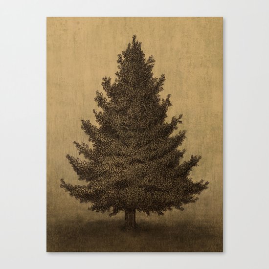 Lonely Pine Canvas Print