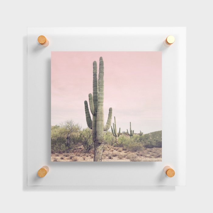 Blush Sky Cactus Floating Acrylic Print