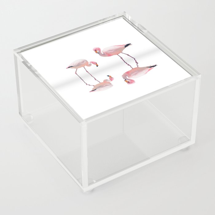 Pink Flamingo Couple Reflection White Background | Bolivia Salar de Uyuni Acrylic Box