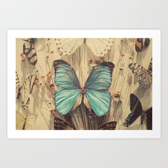 Butteryflies Art Print