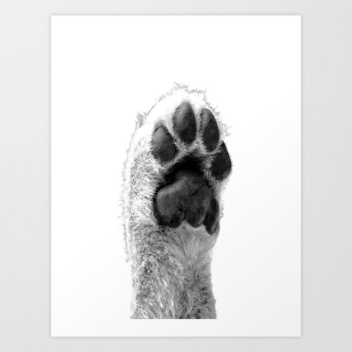 møde generelt Åre Black and White Dog Paw Art Print by Alemi | Society6