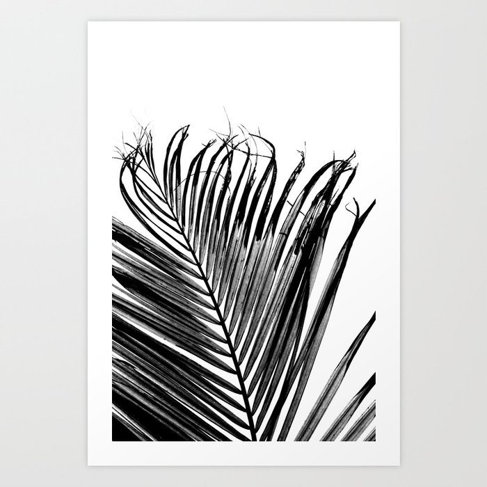 Palm Trees #390 Art Print
