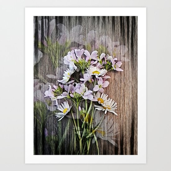 Cuckoo Daisies Art Print