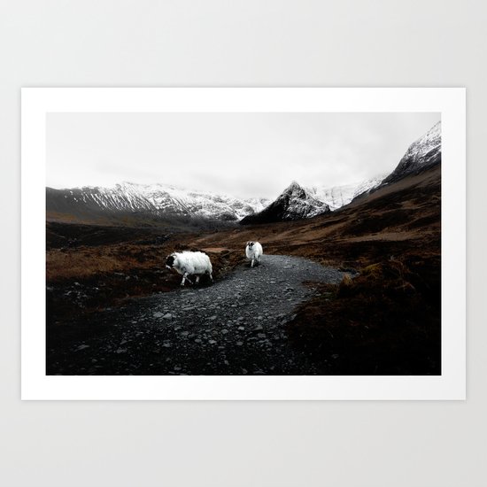 SHEEP - MOUNTAINS - SNOW - ROAD - PHOTOGRAPHY - FUNNY Art Print