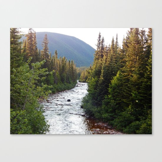 Mountain River Canvas Print