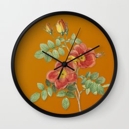 Vintage Austrian Briar Rose Botanical Illustration on Bright Orange Wall Clock