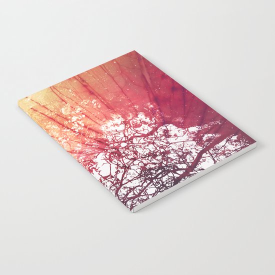 Salamander Notebook