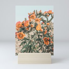 Cholla, Orange Flowering Cactus Mini Art Print