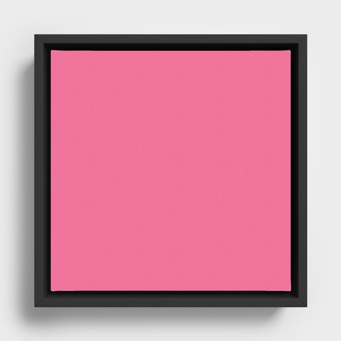 Embarassed Pink Framed Canvas