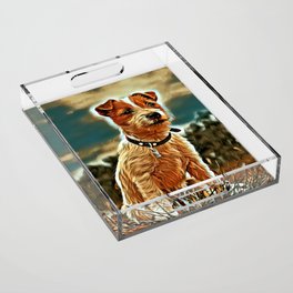 Puppy of Jack Russell Terrier Acrylic Tray
