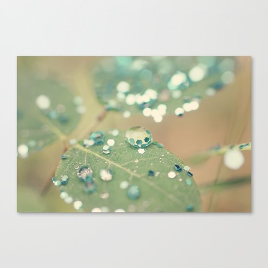 Playing in the Rain Canvas Print