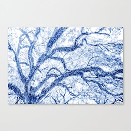 Blue and White Tree Abstract Canvas Print