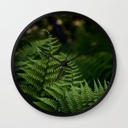 Wild Forest Ferns Photograph Wall Clock