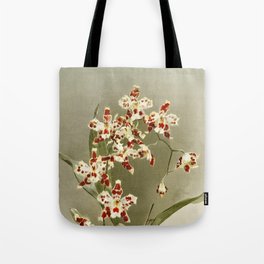 Reichenbachia Orchids Tote Bag