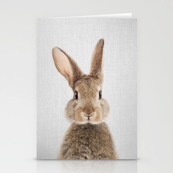 Rabbit - Colorful Stationery Cards