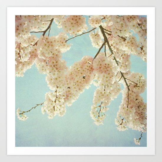 Blue Sky and Blossoms Art Print