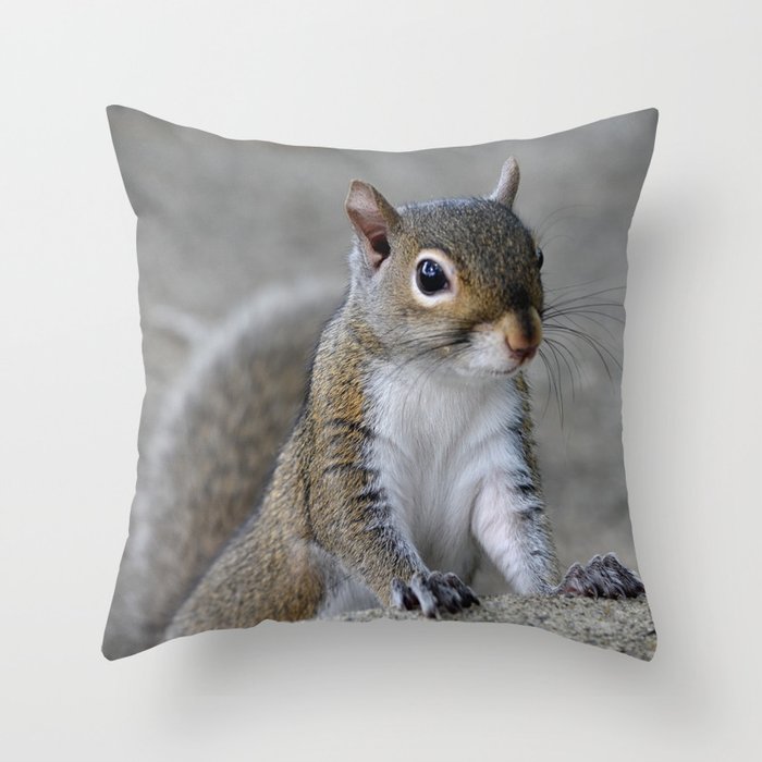 squirrel pillow pet