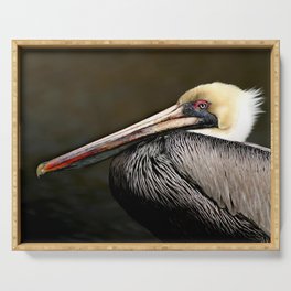 Brown Pelican Portrait Serving Tray