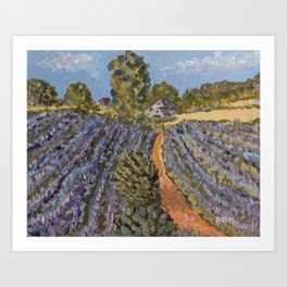 Lavender Fields Art Print