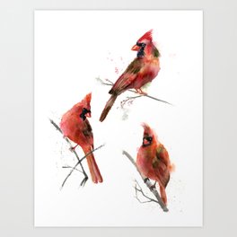 3 Cardinals Print Art Print
