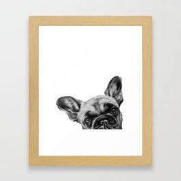 French Bulldog Print Framed Art Print