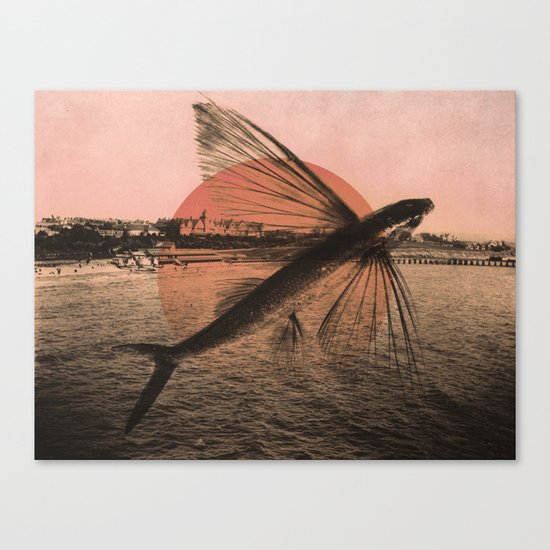 Flying Fish Canvas Print