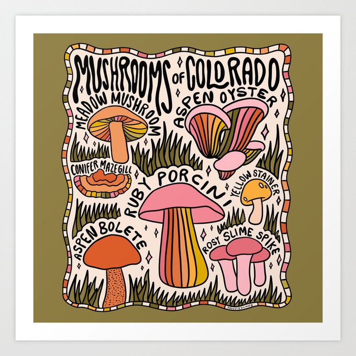 Mushrooms of Colorado Art Print