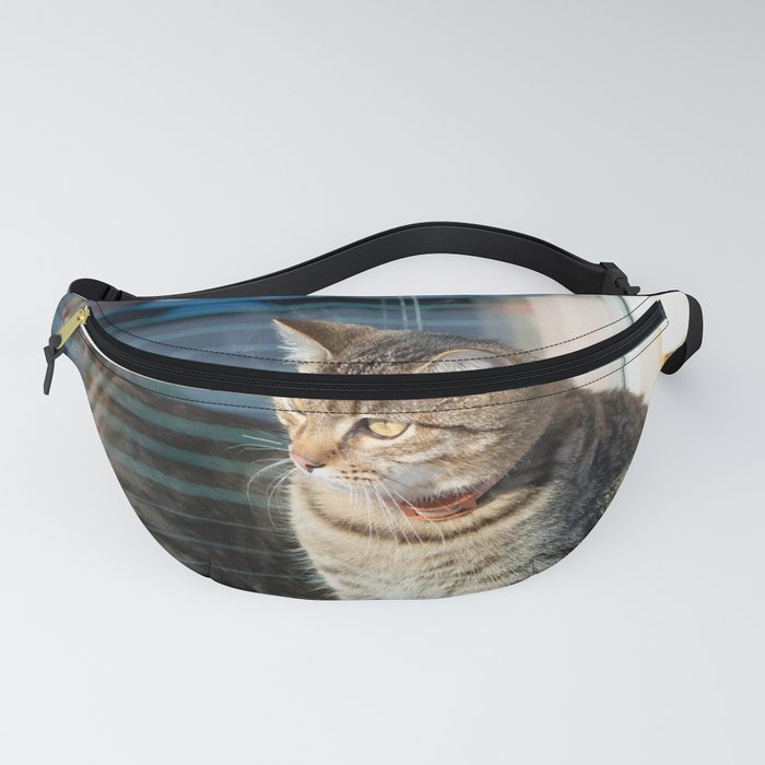 Cat shop fanny pack