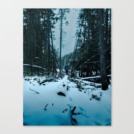 The Sound of Silence Canvas Print