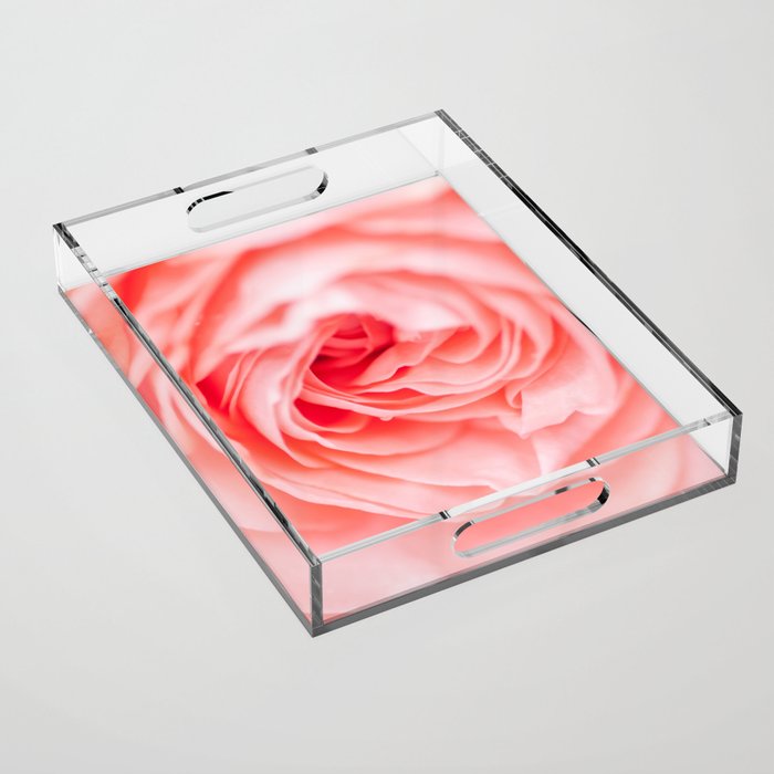 macro shot of beautiful pink rose flower Acrylic Tray