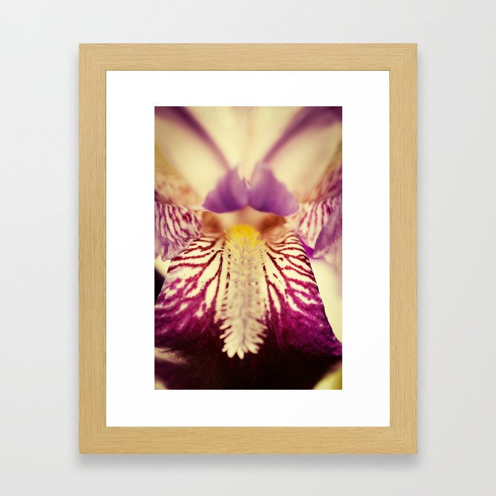 Antiqued Purple Iris Flower - Botanical Nature Floral Plant Photograph Framed Art Print