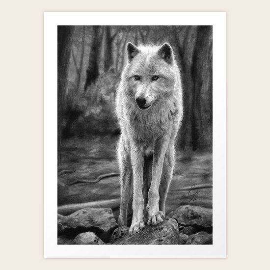 White Wolf in the Forest Art Print