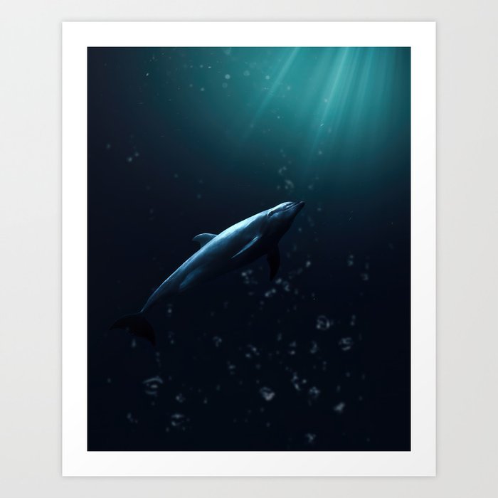 Dolphin Swimming Towards the Light Art Print