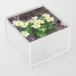 Globeflower Acrylic Box