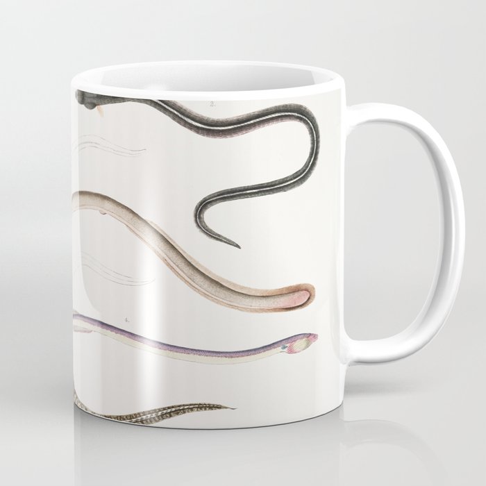 Bora Ophisurus & Harancha Ophisurus Coffee Mug