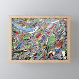 Toucans, parrots and tropical birds of Costa Rica Framed Mini Art Print