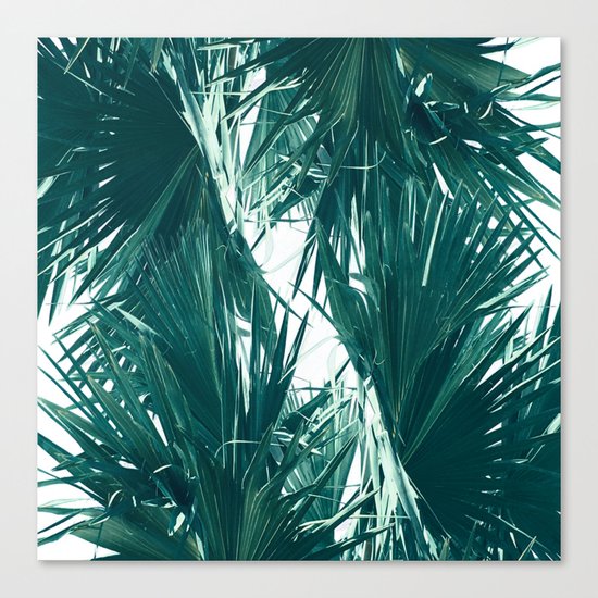 Palm Twist Canvas Print
