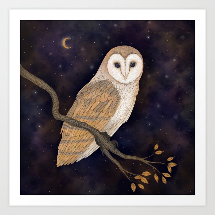 Barn Owl Art Print