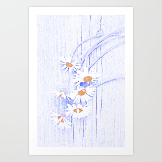 Daisies(2). Art Print