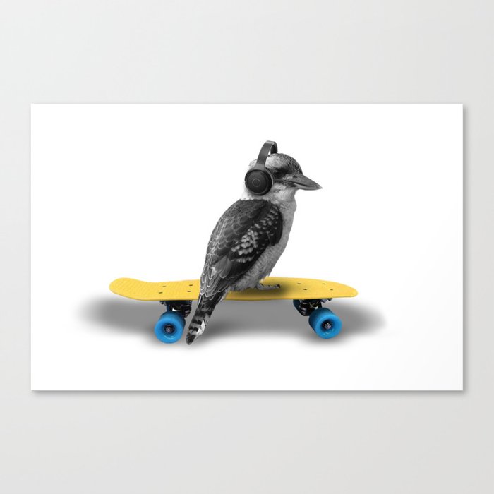 Kookaburra, Cool bird with headphones, Australian bird, Skateboard, headphones, Aussie Animal Canvas Print