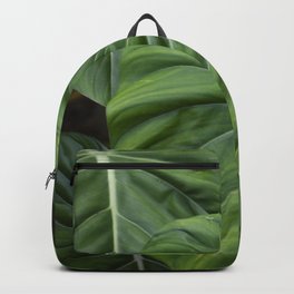 Colocasia II Backpack