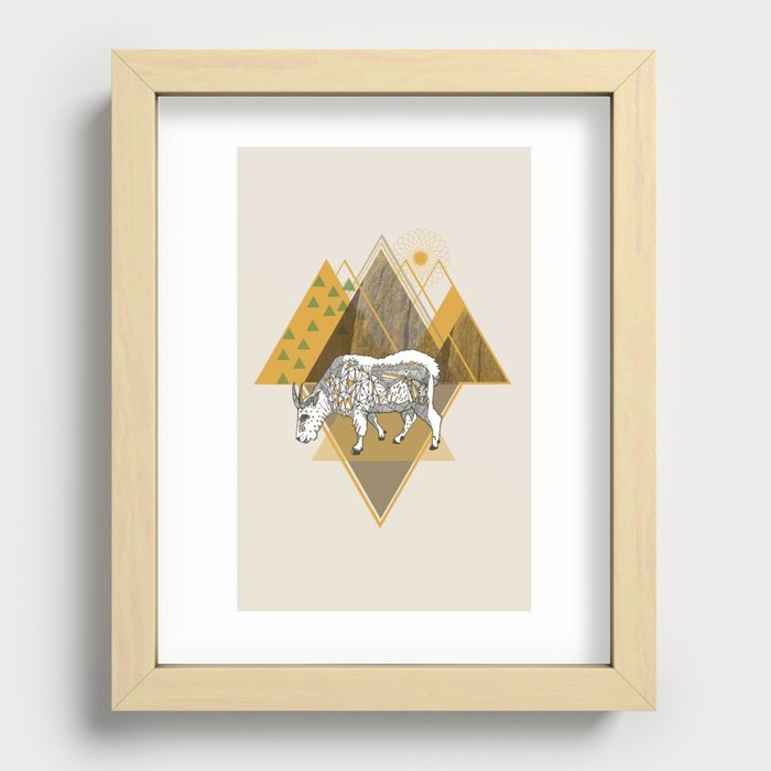 Mountain Goat Recessed Framed Print