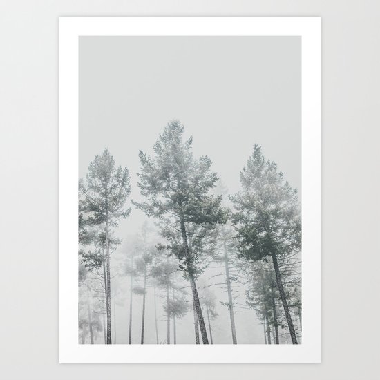 Forest Art Print