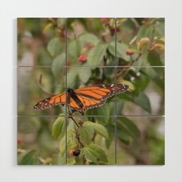 monarch Wood Wall Art